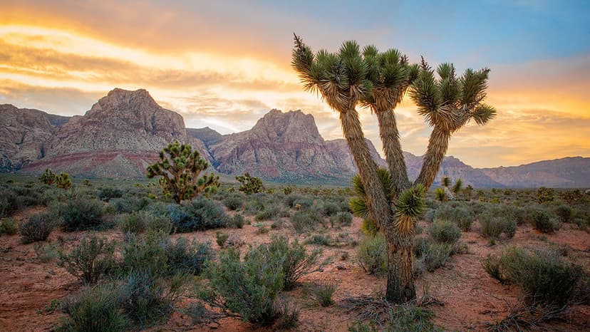 Spring Mountain Ranch State Park in Las Vegas — A 528-acre former Howard Hughes ranch at the foot of the Red Rock escarpment, now a Nevada state park with picnic lawns and summer theater