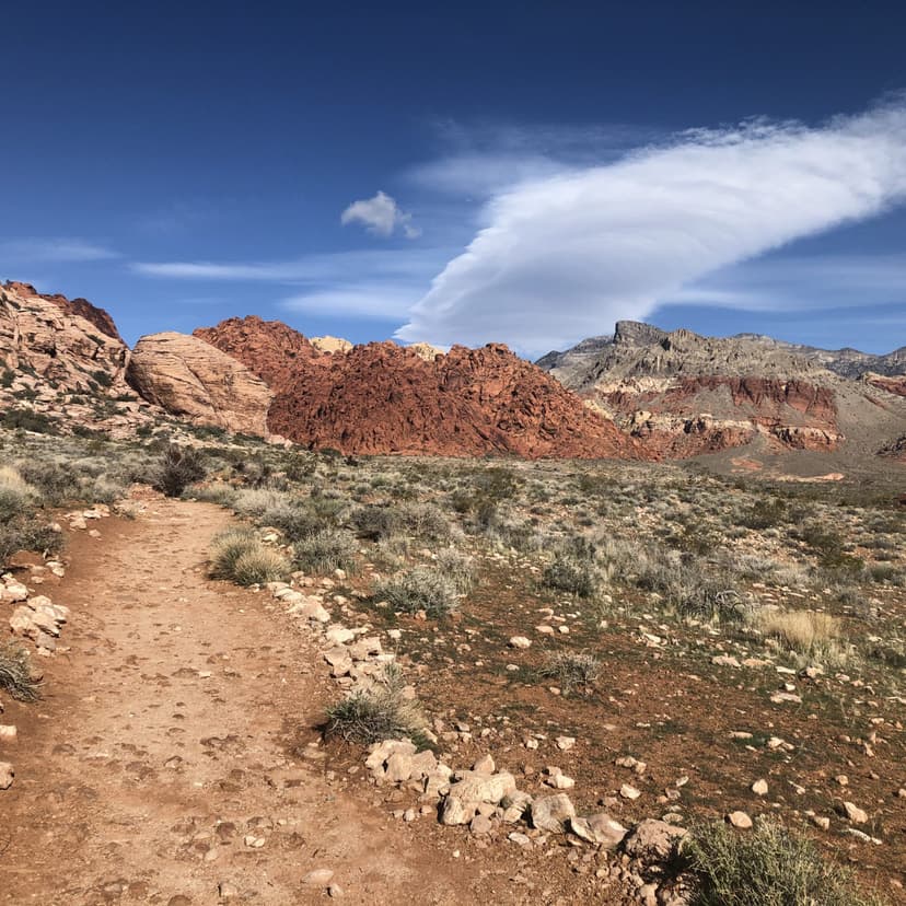 Calico Basin in Las Vegas — A free-access pocket of red sandstone outside the Red Rock fee gate — Red Spring picnic area, boardwalks, and bouldering walls