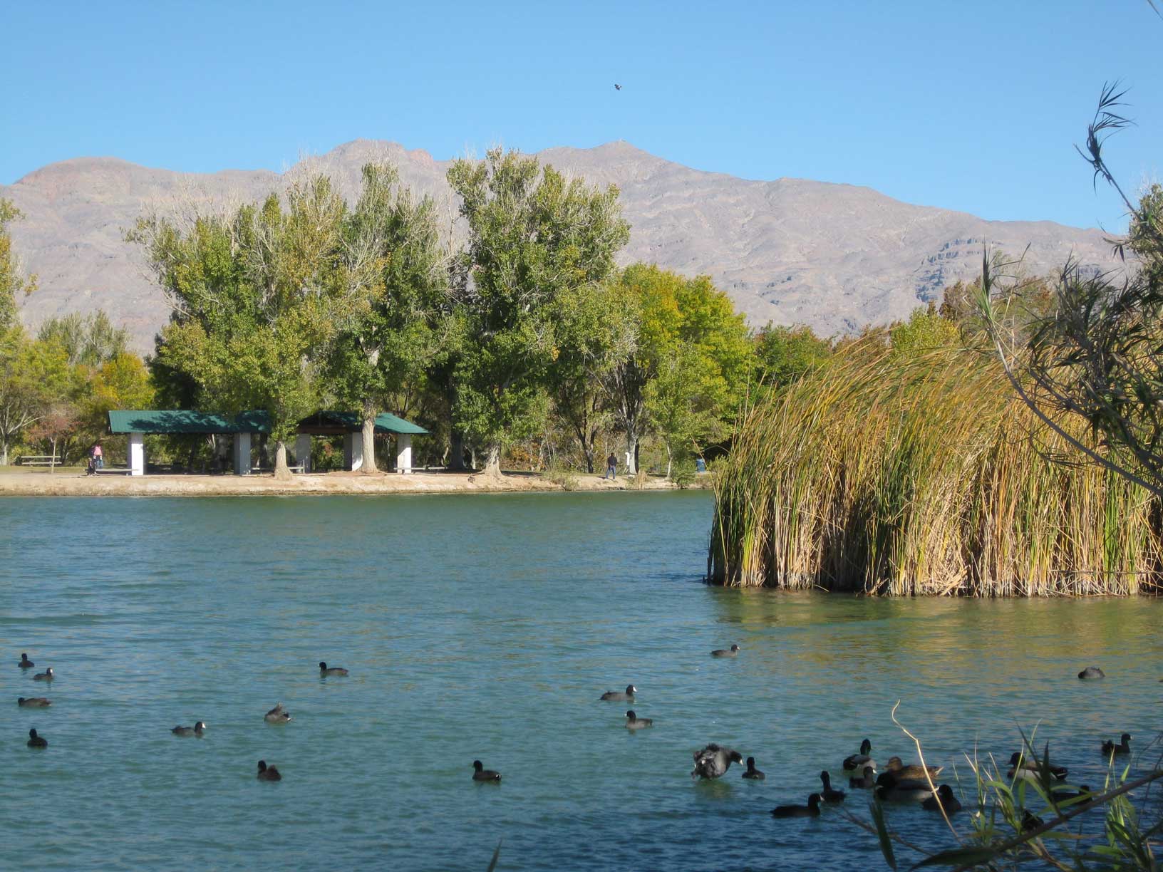 Floyd Lamb Park at Tule Springs - Las Vegas Outdoor